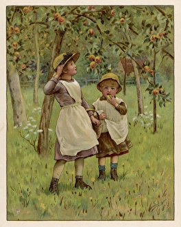 Apple Pickers