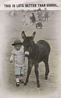 Buttoned Collection: Young boy with a baby donkey on a British beach