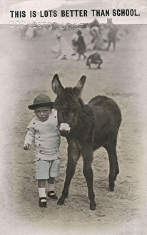 Buttoned Collection: Young boy with a baby donkey on a British beach