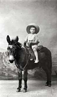 Young Boy in Summer attire - Studio photo on a donkey