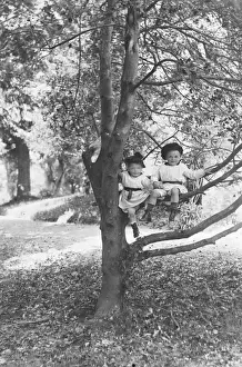 Tunics Prints: Young Children in a Tree