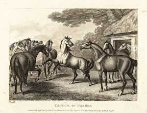 Gay And Phaedrus Prints: A young colt tries to stir a mutiny in the stables