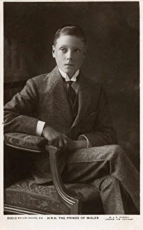 Images Dated 26th May 2017: A Young Edward, Prince of Wales