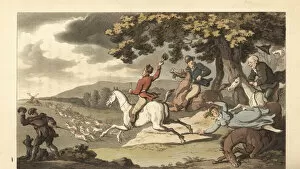 Young English gentleman riding with hounds in a stag hunt