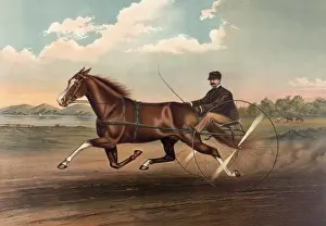 Young Fullerton, (3528): record 2: 20 3 / 4