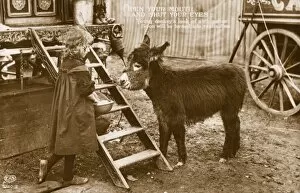 Anticipation Gallery: Young girl with a baby donkey