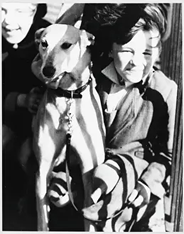 Young Girl and Greyhound