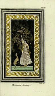 Images Dated 31st July 2019: Young Indian woman with gazelle, 18th century