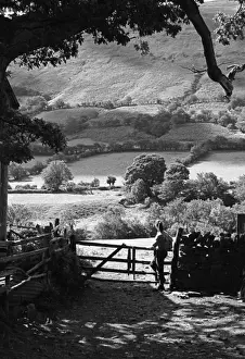 Powys Prints: Young lady admiring the view in the Black Mountasins nr Glas