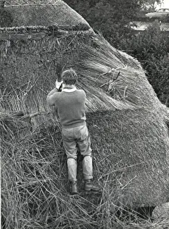 Images Dated 17th February 2020: Young man thatching a roof, Lamorna Cove, Cornwall