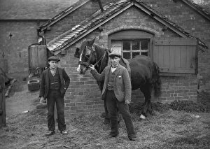 Harness Gallery: Two young men with horse on a farm