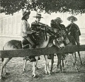 Chilean Gallery: Four young men on mules, Chile, South America