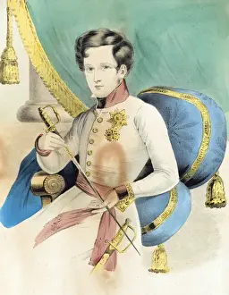 Contemplating Prints: Young Napoleon II