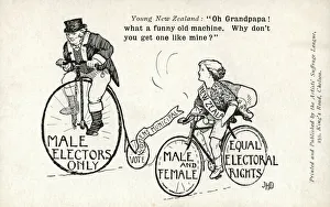 Harvey Collection: Young New Zealand