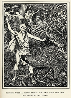 Young Odysseus & Boar