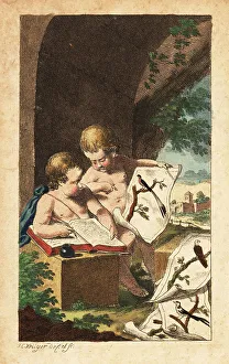 Cherubs Prints: Two young ornithologists studying bird prints, 18th century