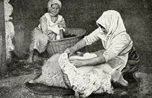 Young peasant woman shearing a sheep, Republic of Estonia