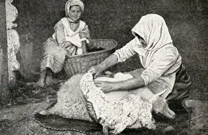 Estonia Prints: Young peasant woman shearing a sheep, Republic of Estonia