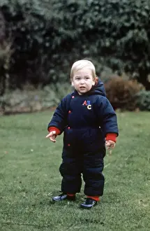 Princes Prints: A young Prince William