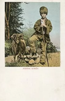 Images Dated 23rd March 2011: Young Romanian Shepherd with his sheep