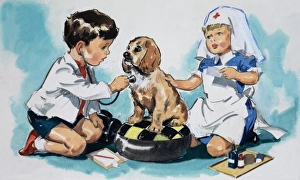Images Dated 13th September 2006: Young Vets