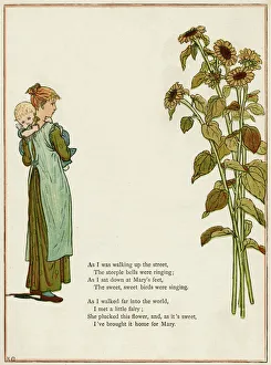 Images Dated 22nd November 2011: Young woman holding a baby, with sunflowers