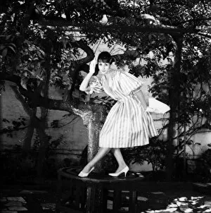 The Colin Sherborne Collection: Young woman modelling a dress in a garden