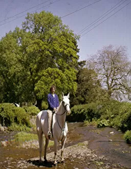 Young woman riding a white horse