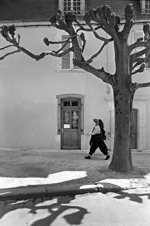 Images Dated 16th May 2019: Two young women walk beneath a pollarded tree in Auxerre sur