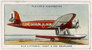 Adapted Prints: Cant Z. 506 Airone