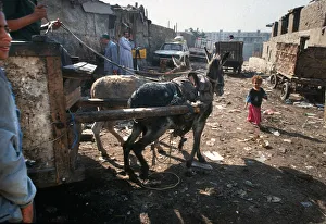 Images Dated 8th August 2019: Zabbaleen of Mokattam, Cairo, Egypt - 6