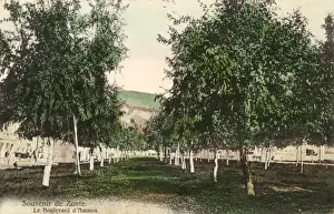 Zakynthos Prints: Zakynthos, Greece - The Boulevard d Ammos