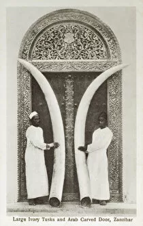 Carved Gallery: Zanzibar - Tanzania - Large Ivory Tusks