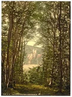Enchanted Prints: The Zauberhole (Enchanted Grotto) and Rheinstein, Niederwald