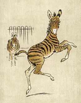 Sedate Prints: Zebra Mother and Young