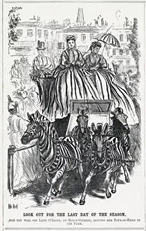 ZEBRA PULL FOUR-IN-HAND