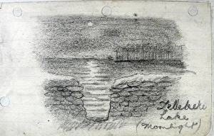 Images Dated 5th May 2009: Zellebeke Lake (Moonlight)