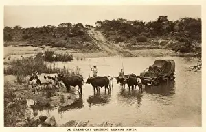 Zimbabwe, Africa - Ox Wagon crossing Lumene River