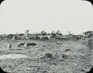 Zimbabwe (Rhodesia) - Mr Rhodess farm, Matoppos