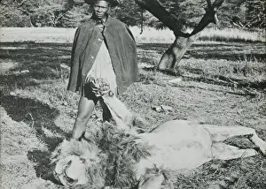 Rhodesia Prints: Zimbabwe (Rhodesia) - Native and Lion
