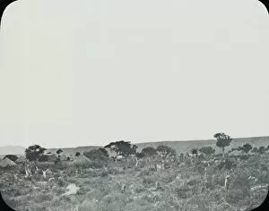 Zimbabwe (Rhodesia) - Palapye