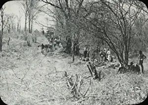 Zimbabwe (Rhodesia) - Road cutting through bush