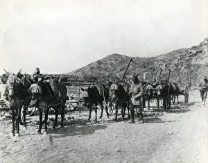 Fusiliers Prints: Zion Mule Corps in Palestine, WW1