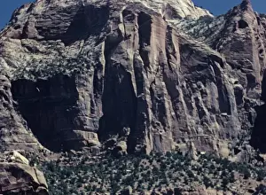 Swirls Prints: Zion National Park - Utah