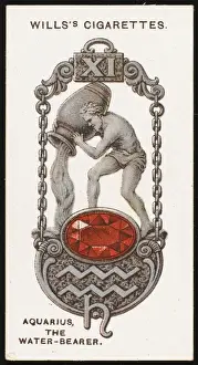 Zodiac Charms Aquarius