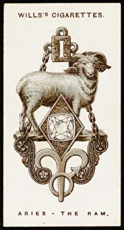 Aries Collection: Zodiac Charms Aries