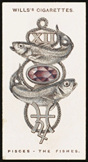 Amethyst Gallery: Zodiac Charms Pisces