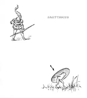 Zodiac / Sagittarius / Maxim