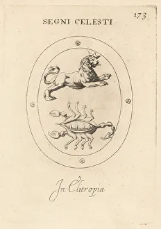 Scorpion Prints: Zodiac signs of Leo and Scorpio