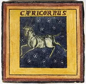 Zodiac Tile / Capricorn